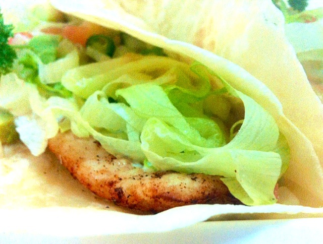 Baja fish tacos/Jorge Bernal Márquez | SnapDishスナップディッシュ (ID:fGviba)