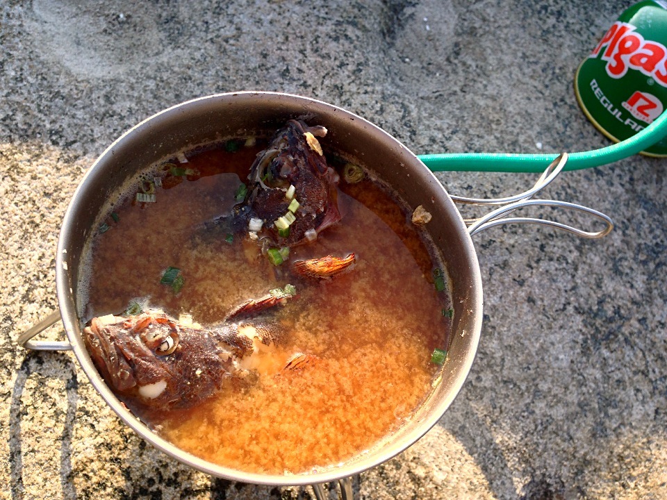 早朝釣りましたカサゴ その場で食べるワイルド味噌汁 さくたろう Snapdish スナップディッシュ Id Rws0da