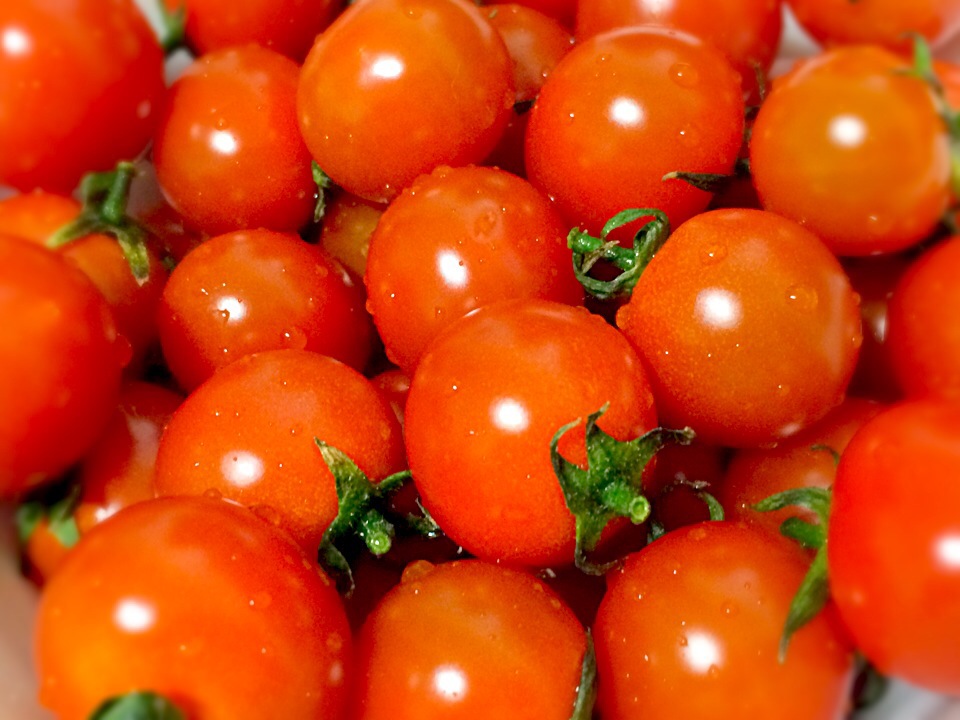방울토마토 / cherry tomato / チェリートマト