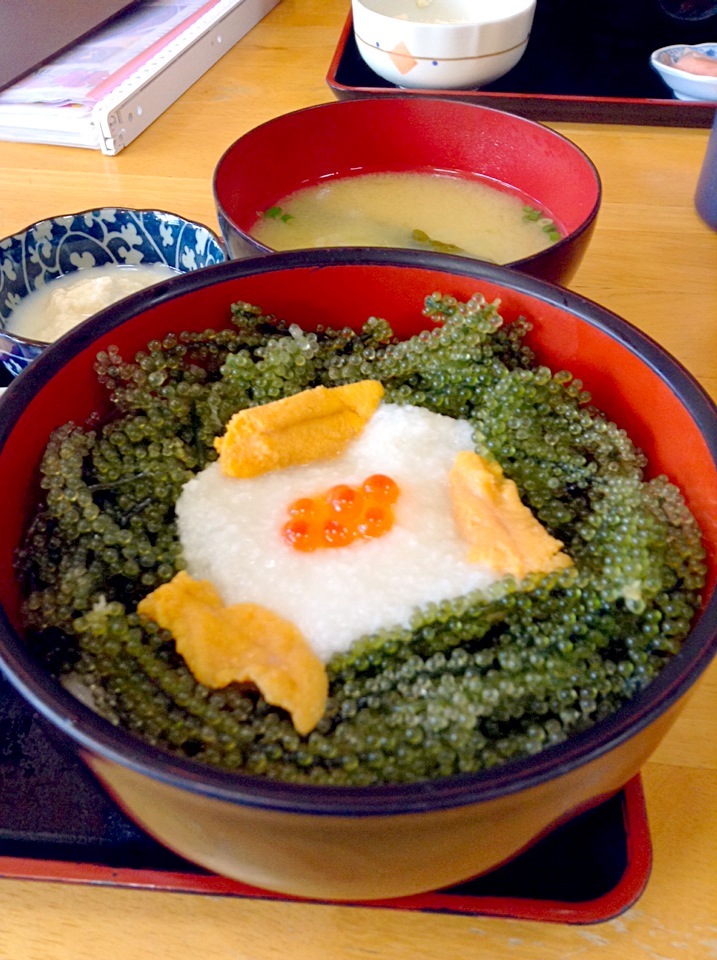 沖縄日目ランチ恩納村にて 元祖海ぶどう本店 の名物海ぶどう丼seagrape And Sea Urchin Topped Rice At Onna Vi Yoriko Snapdish スナップディッシュ Id Um5oba