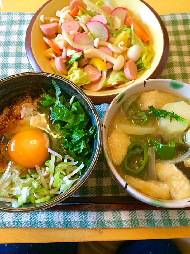 魚肉ソーセージサラダ、卵かけご飯の昼ご飯