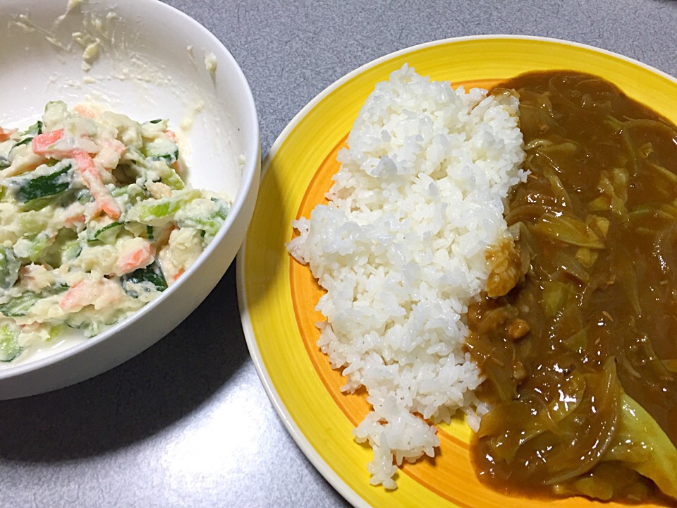 カレーライス ポテトサラダ Ms903 Snapdish スナップディッシュ Id Wmc4ra