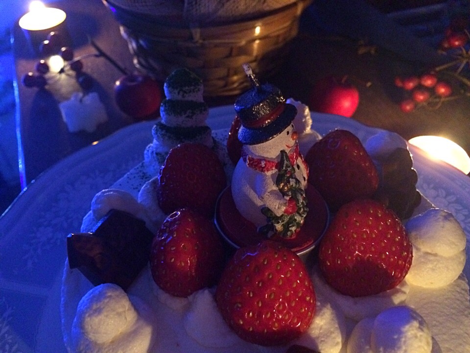 🎄Christmas cake 2015