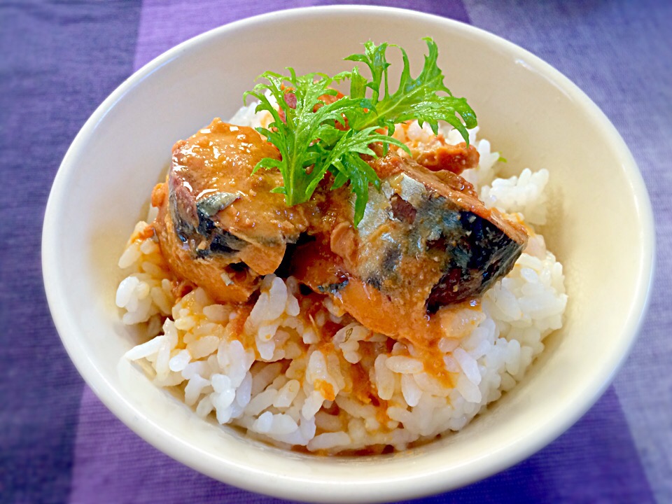 今季ブランド さば サバ さば辛味噌丼 1切 1パック 北海道産 食べやすい お弁当 保存食品 近海食品 ハロウィン pivopix.com