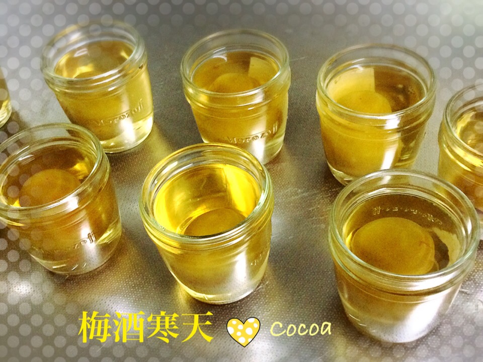 梅酒寒天 Cocoa Snapdish スナップディッシュ Id 9idp0a