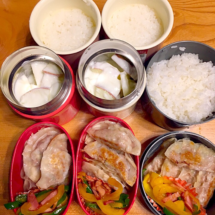 子供の手作り餃子弁当 ツインズママ Snapdish スナップディッシュ Id Vhdgea