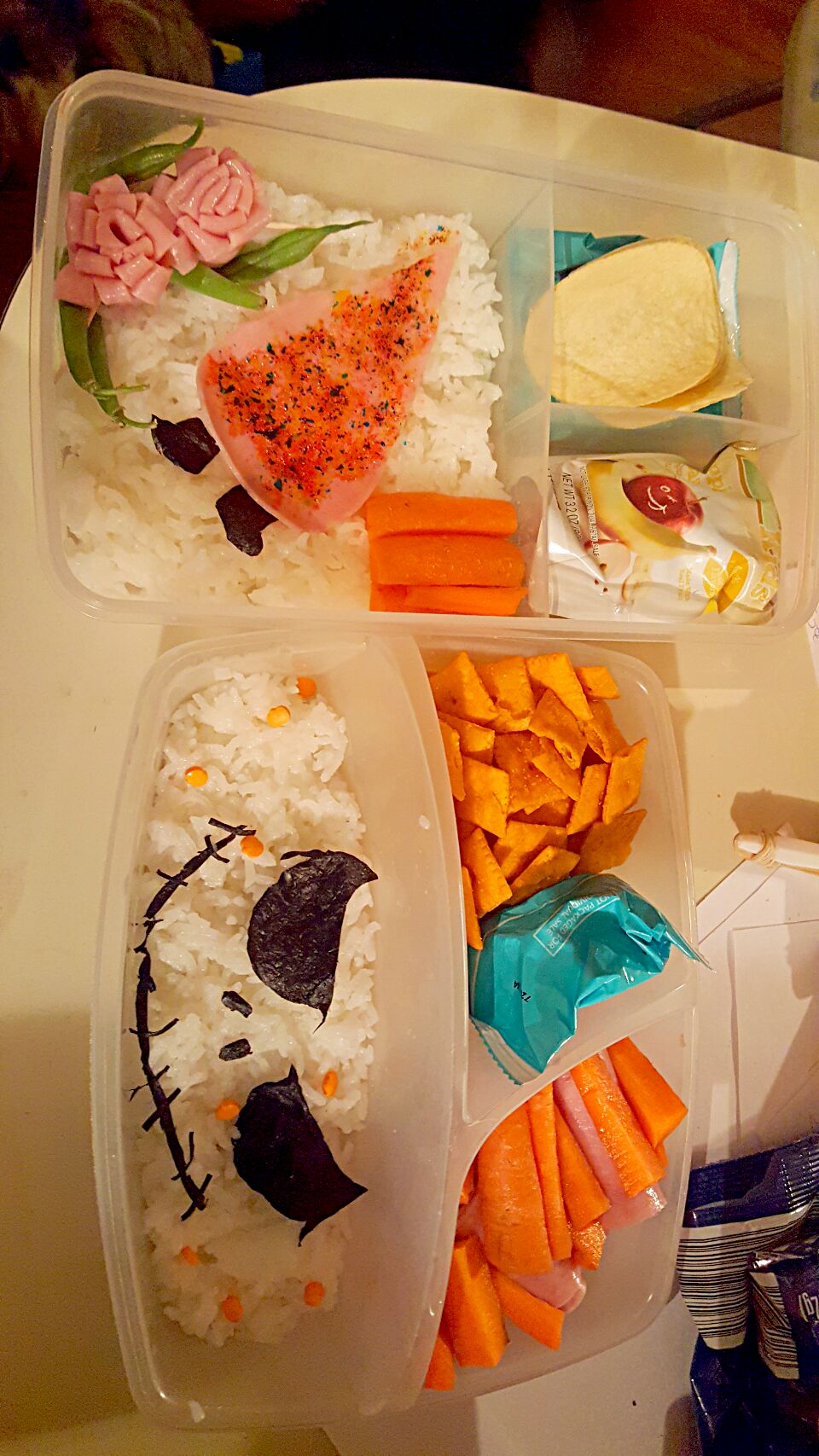 todays kids lunches turned out great !