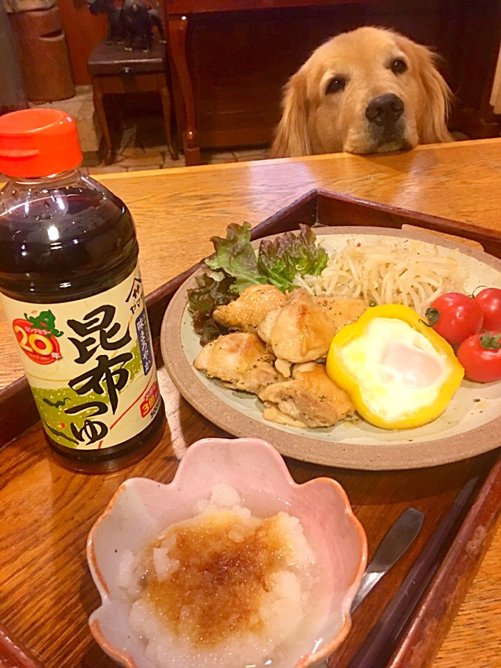 鶏肉の照り焼き もやしのナムル パプリカ目玉焼き大根おろしにヤマサ昆布つゆを混ぜてコブおろしに きゅうちゃん Snapdish スナップディッシュ Id Yc4aya