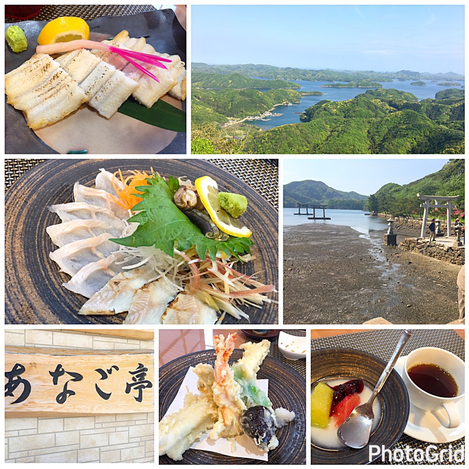 黄金あなごの白焼き お刺身 天ぷら等 対馬 あなご亭 Juneshun Snapdish スナップディッシュ Id Aoz0ba