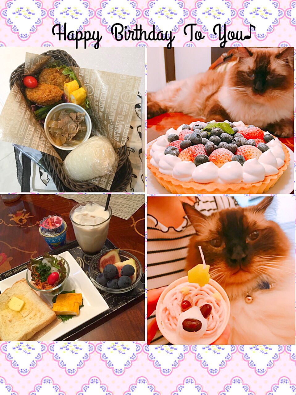 今日のお弁当と朝ごパン猫さんの4歳の誕生日のケーキと 家族用の手作りタルト 今日も頑張って行ってきまーす Mayumi Snapdish スナップディッシュ Id Appnza