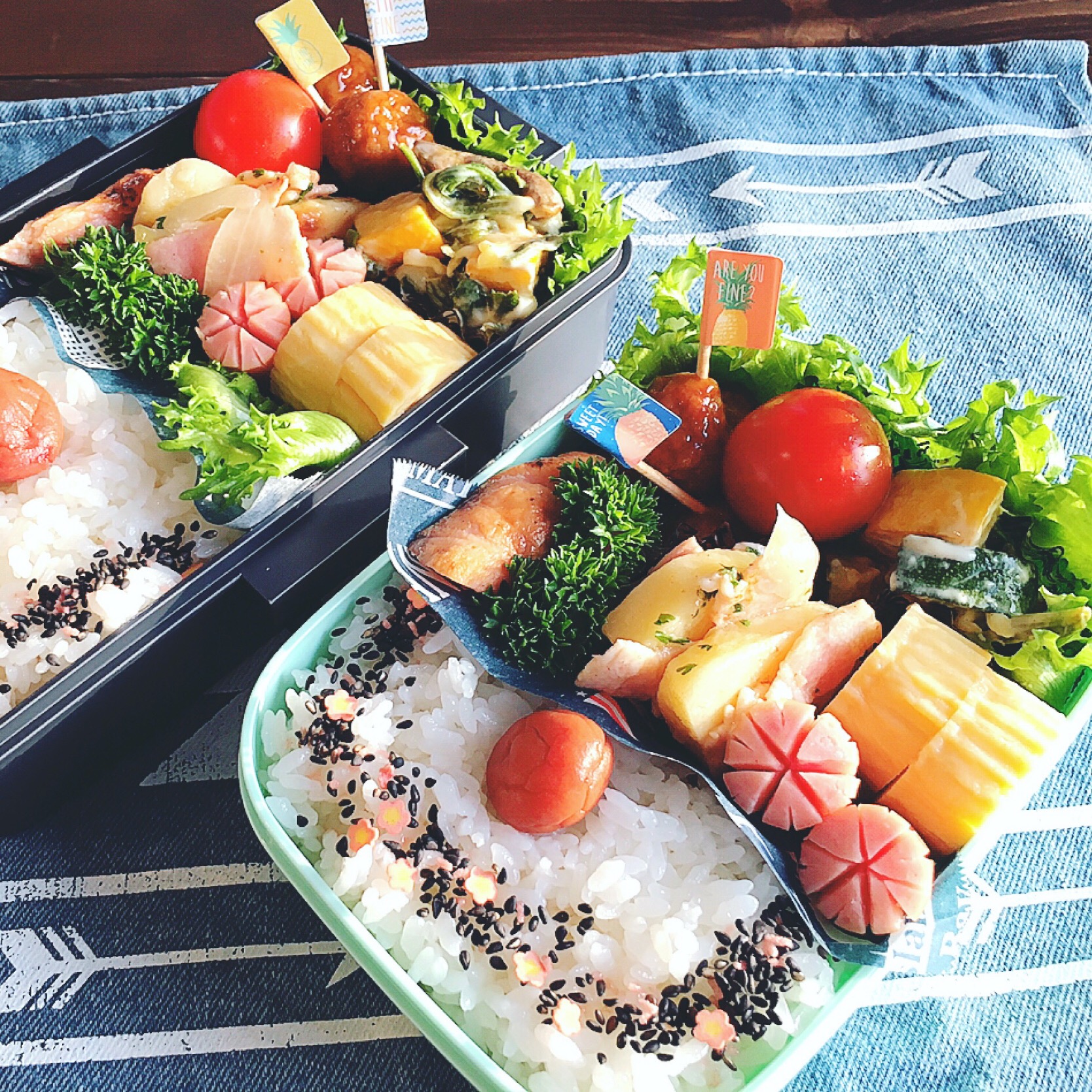 日本の鉄板お弁当 焼き鮭の日の丸弁当 Saori Snapdish スナップディッシュ Id Tjuoza