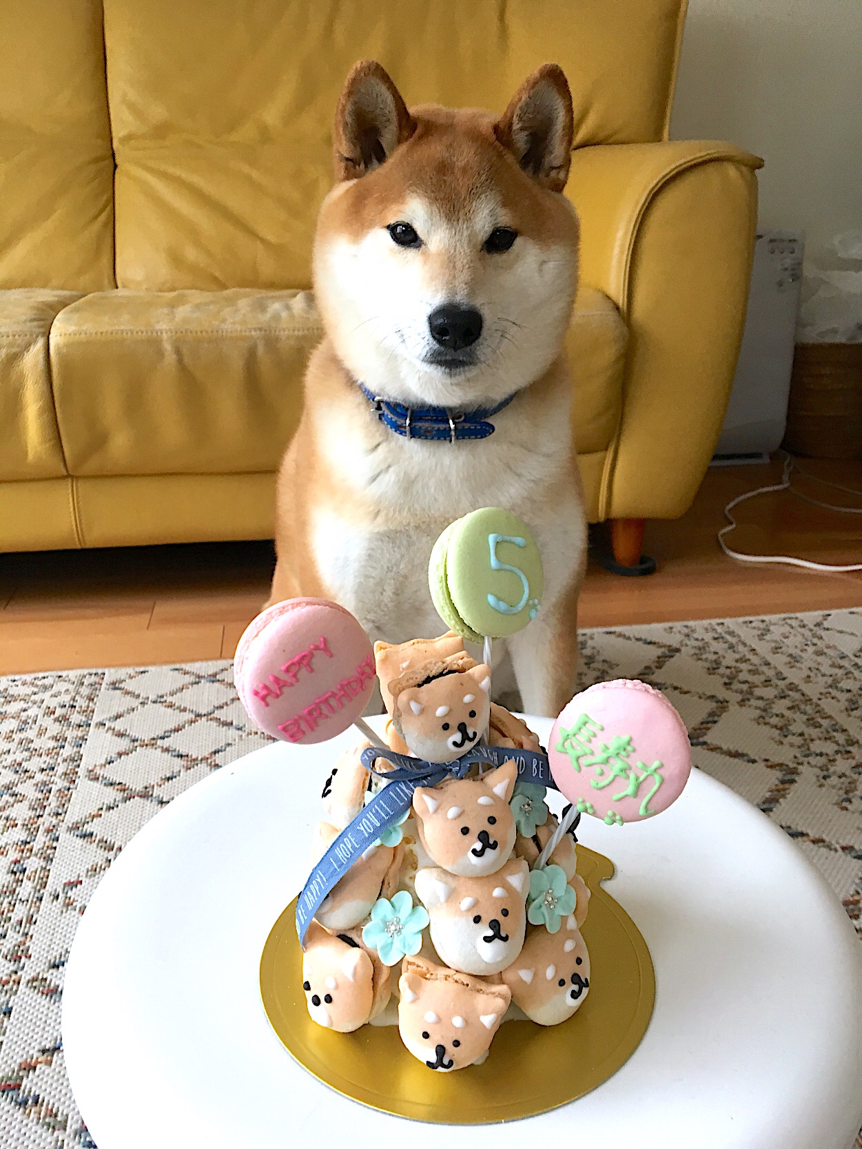 柴犬マカロンタワーケーキ 愛犬のバースデー ハッピーバースデー ケーキは飼い主用 5歳の誕生日 友人の手作り Yumiko Tokumitsu Snapdish スナップディッシュ Id 8qp9ta