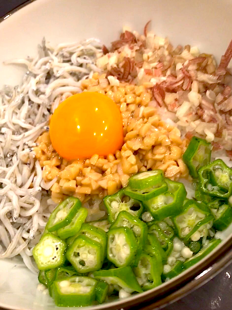 オクラ ミョウガ 釜揚げシラスの納豆丼 Tomy Snapdish スナップディッシュ Id Secrqa