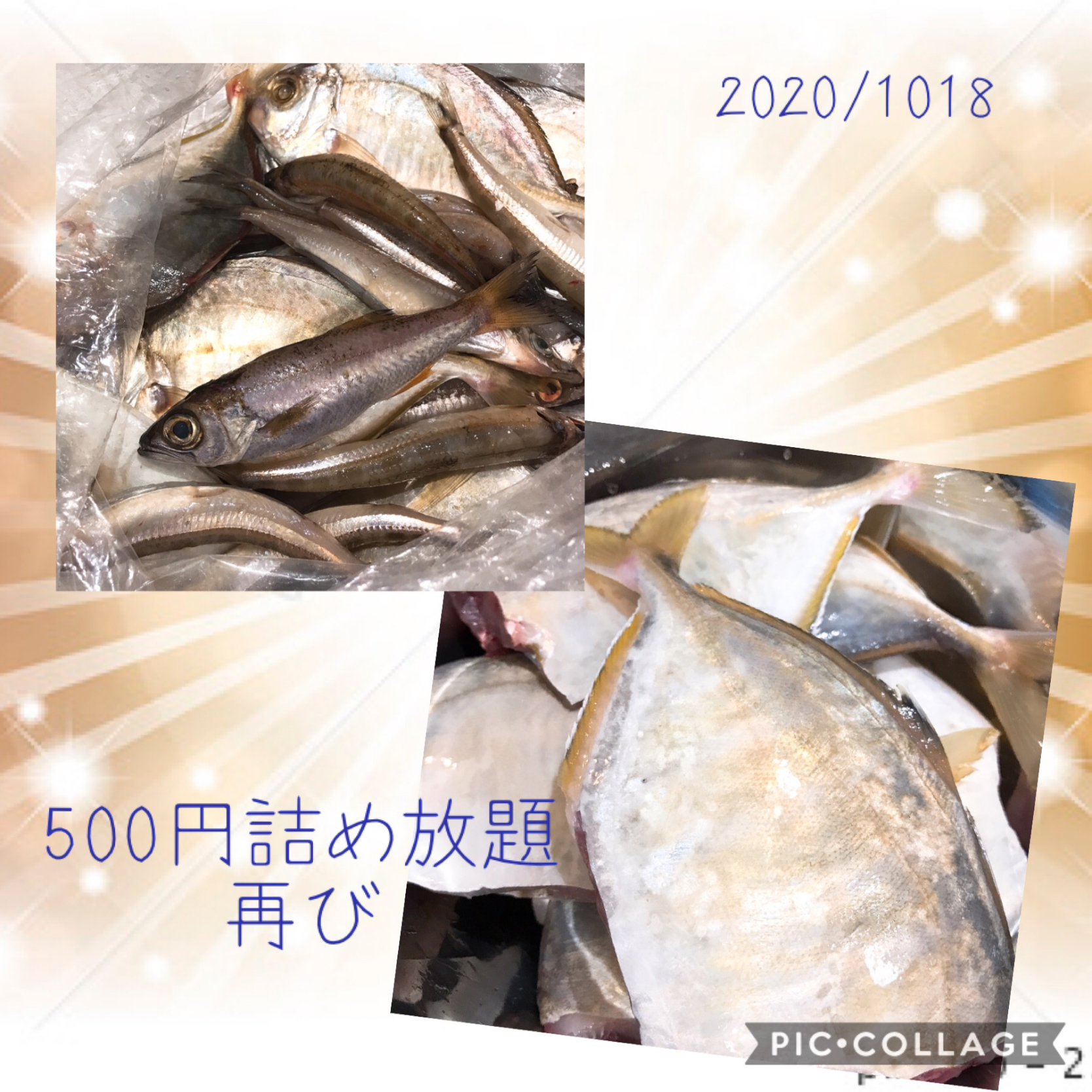 前回塩焼きで食べた魚 美味しかった魚 名前が鯵と鯛を足したような魚 沖ギス23尾 黒むつ1尾 名も知らぬ美味しい魚7尾 みすてりあすゆっこ Snapdish スナップディッシュ Id Yuc5ka