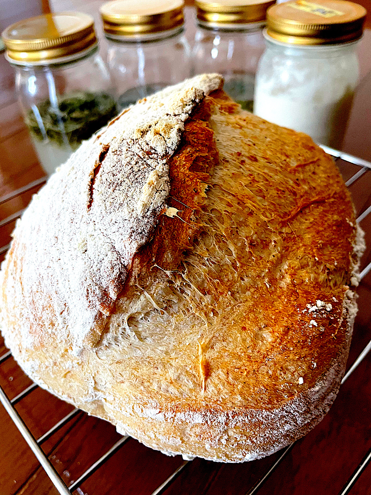 自家製酵母パン