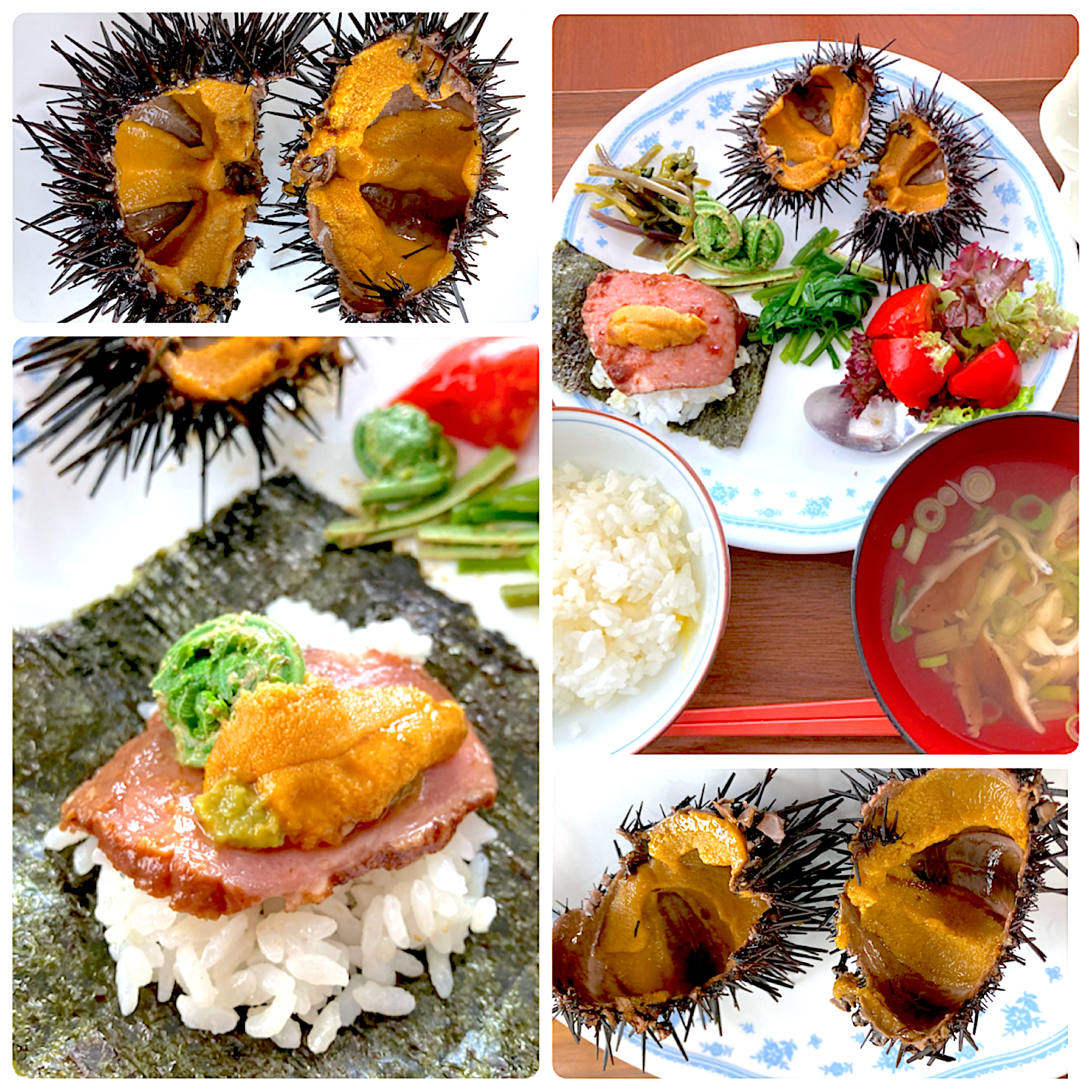 ローフトビーフとウニのっけ寿司 のっけ寿司 白魚のお吸い物 もも Snapdish スナップディッシュ Id Rtivma