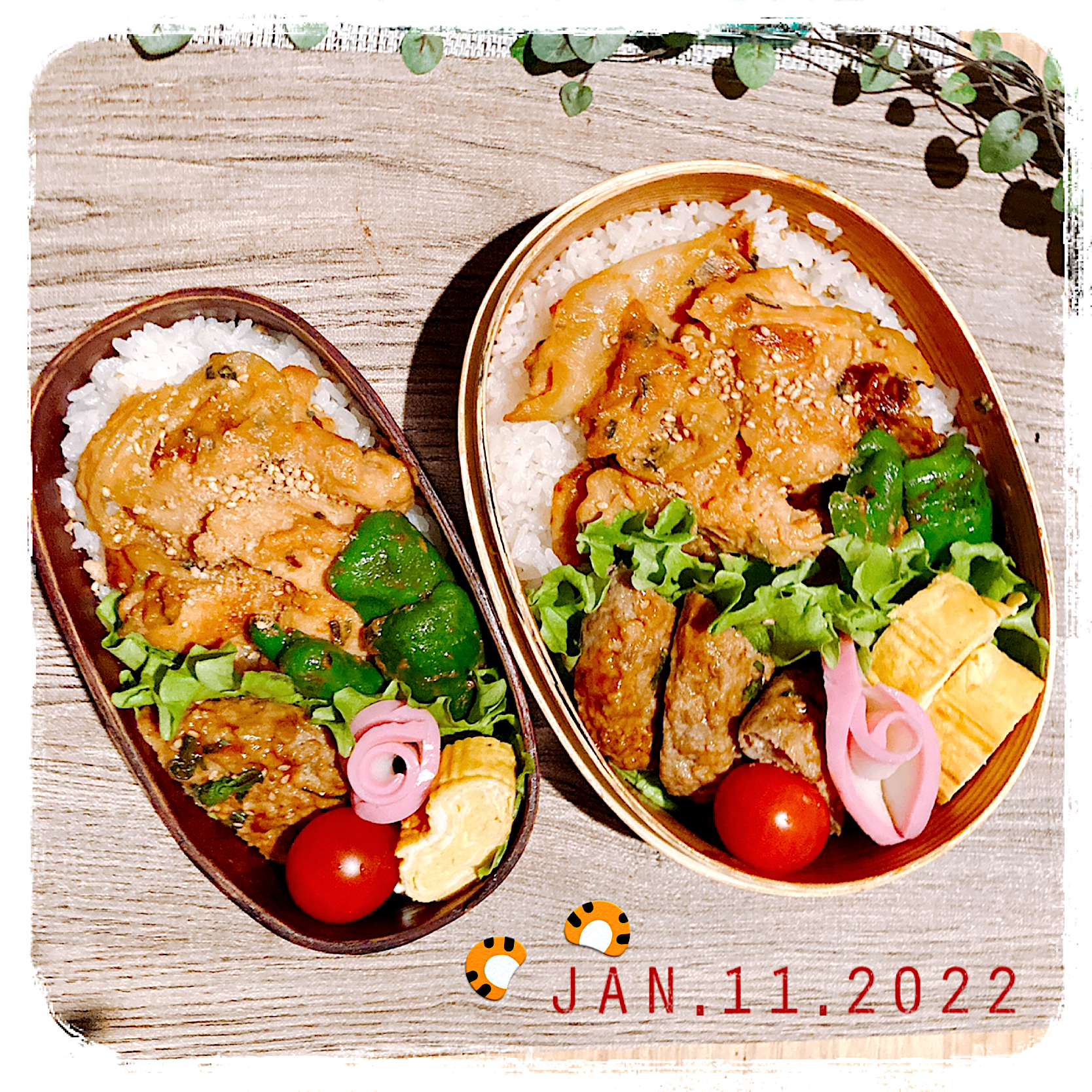 1/11 ☺︎☺︎ 鶏肉西京焼き弁当✩.*˚