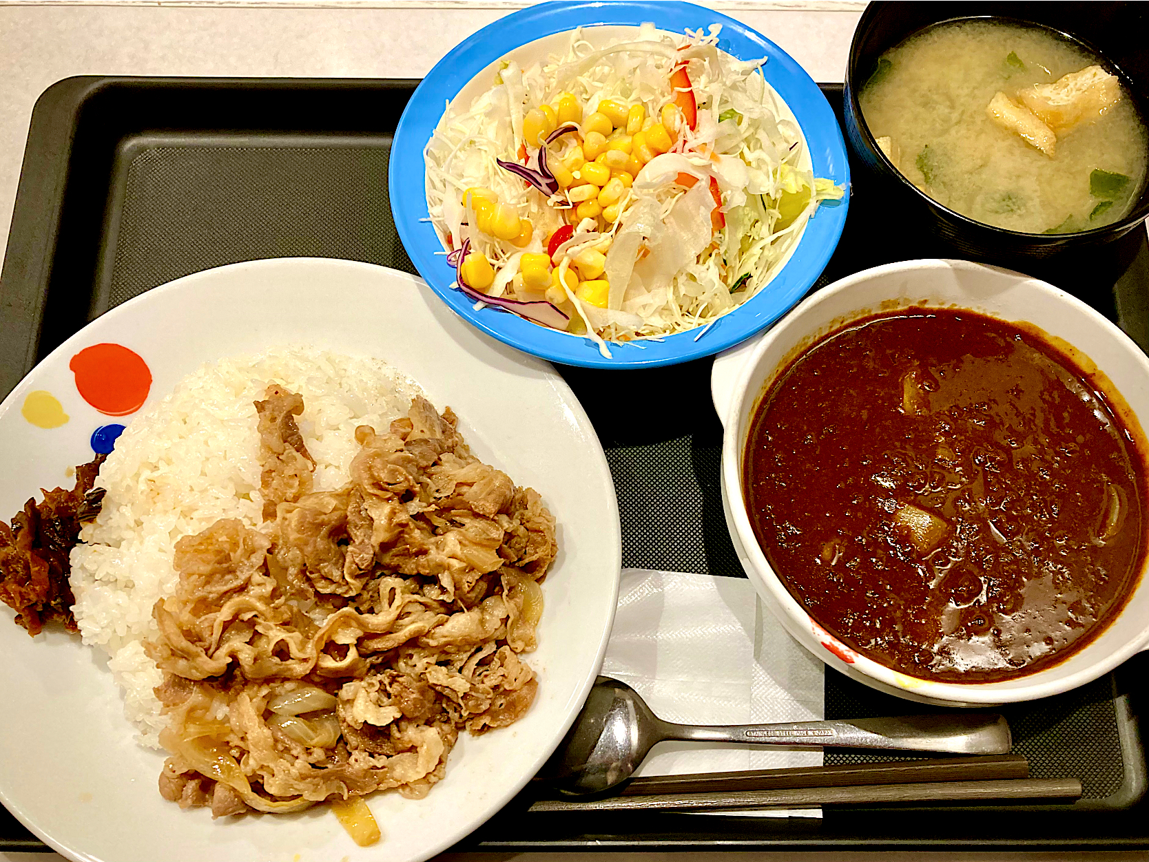 松屋の 牛丼＋カレー❓                          (ｵﾘｼﾞﾅﾙｶﾚｷﾞｭｳ・野菜ｻﾗﾀﾞ)