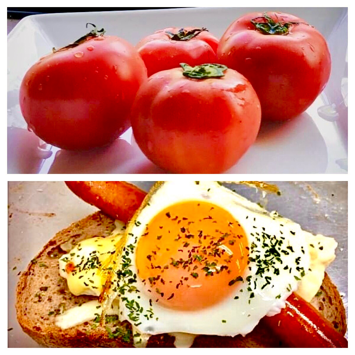 オープンサンド&トマト2個で朝ごはん・・