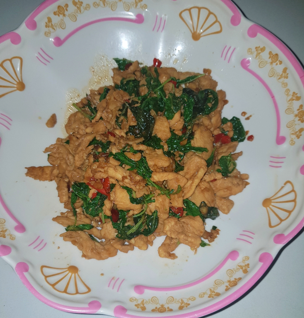 stir fry spicy chicken with holy basil leaves