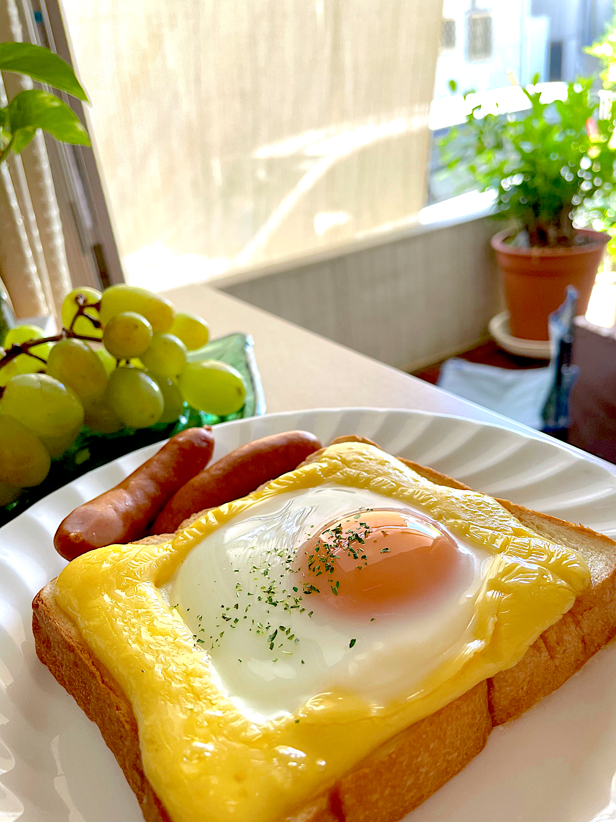 今日の朝ごはんはトーストの卵乗せ
